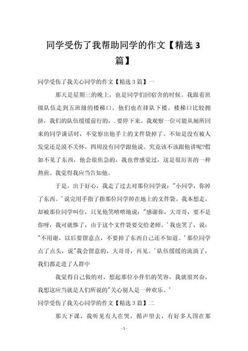 帮助了我作文500初中