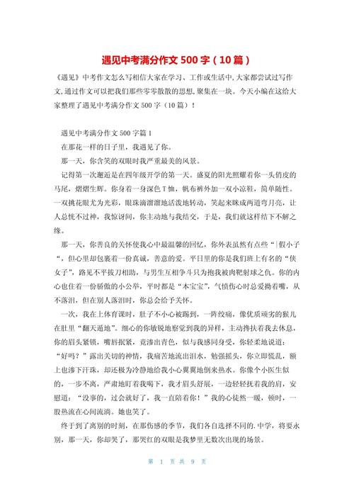 遇见你初中作文500字