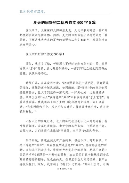 初中好作文650字夏天