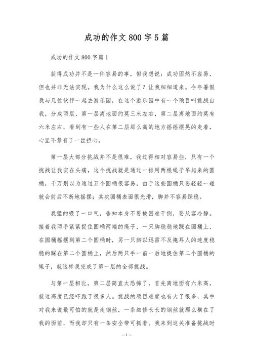 成功类作文800字初中
