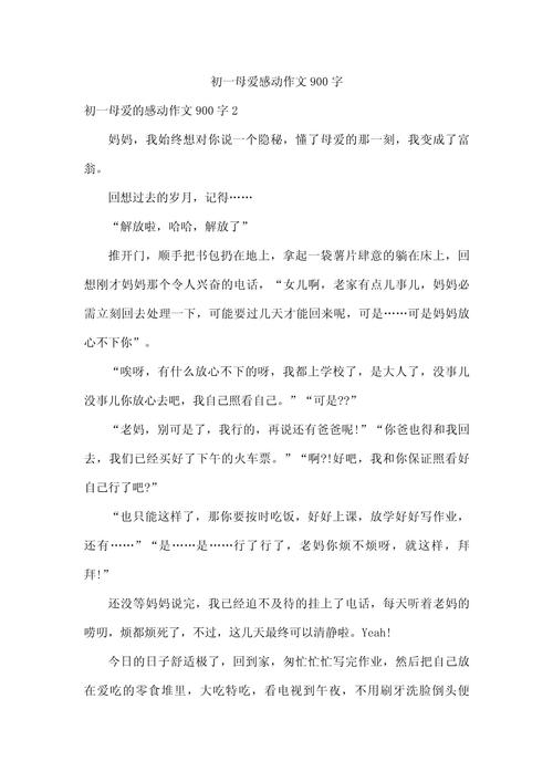 母亲传初中作文900字