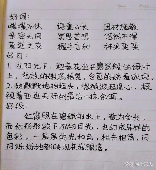 小学生好词好句摘抄大全