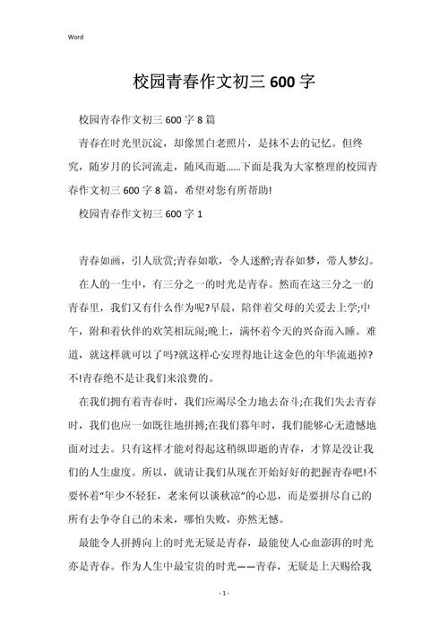 初三毕业作文初中600