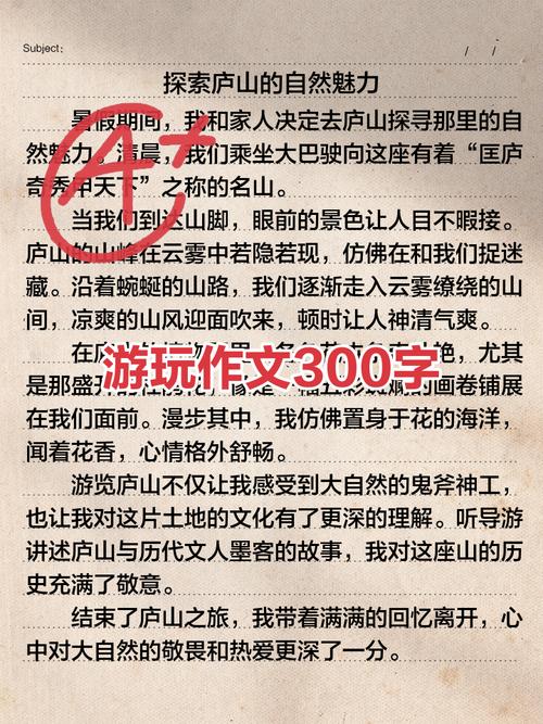 玩 初中小作文300字
