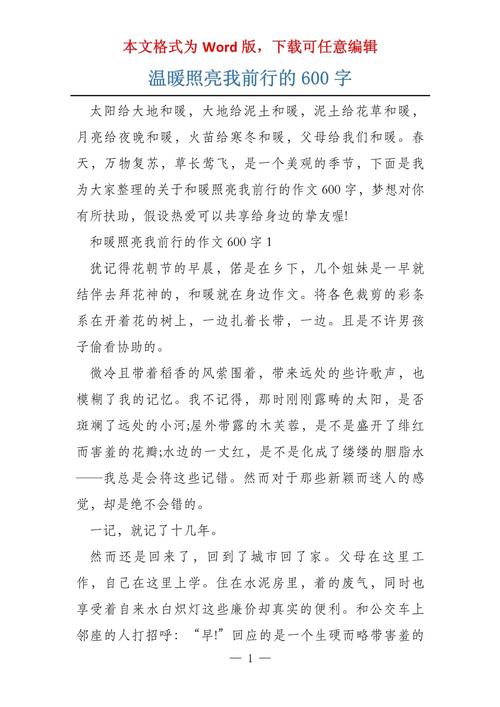 初中作文温暖照亮我前行