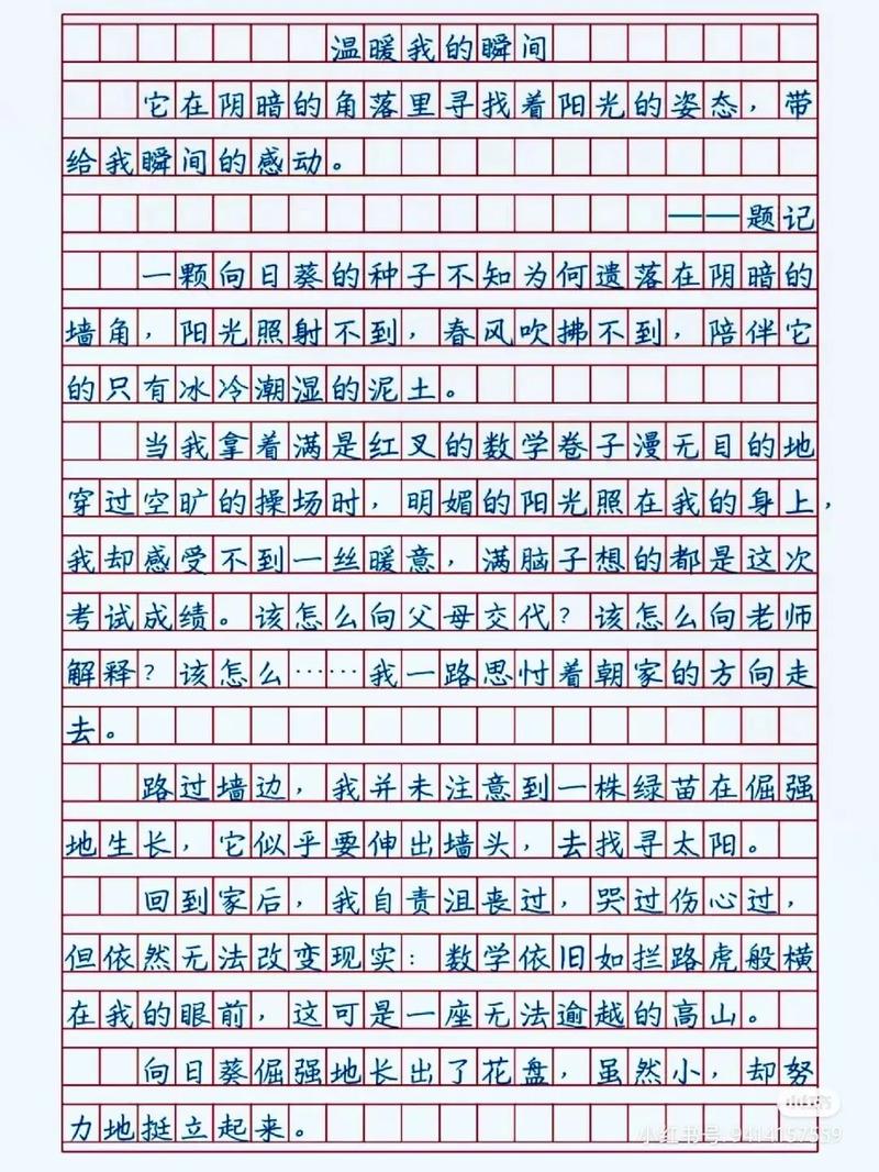 初中作文温暖照亮我前行