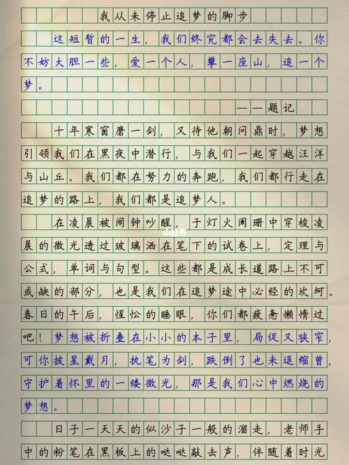 为了自己的梦想初中作文