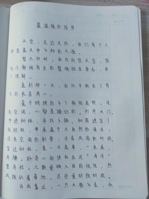 最温暖的陪伴500初中
