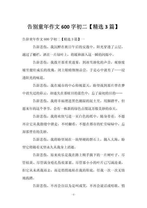 我与童年 告别初中作文