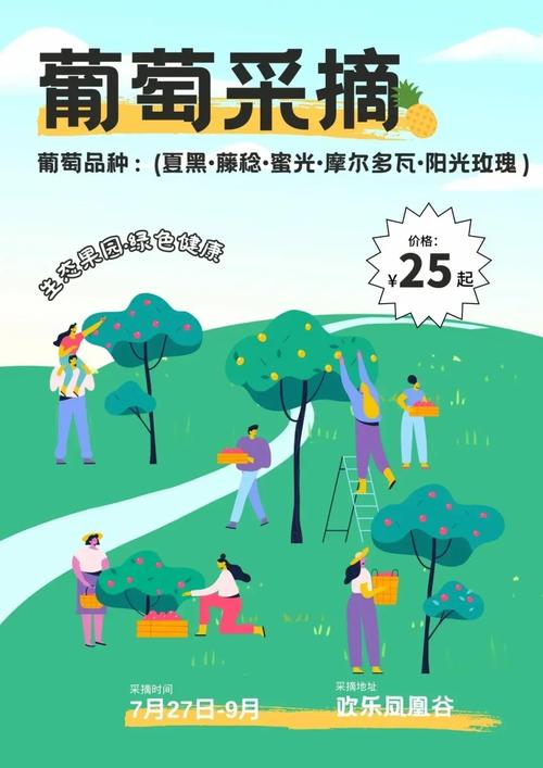 早教葡萄采摘活动方案