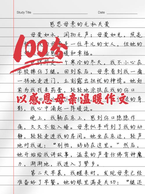 温暖的母爱作文初中作文