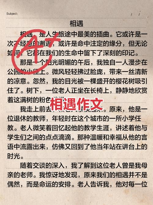 相遇在初中作文500字