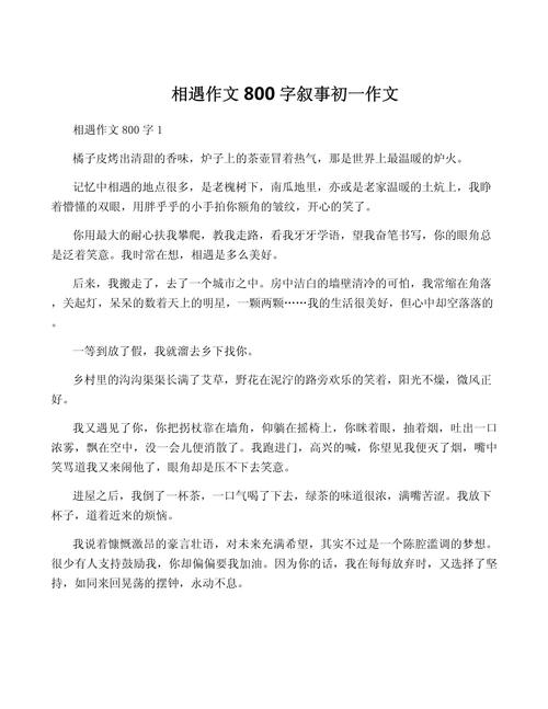 相遇在初中作文500字