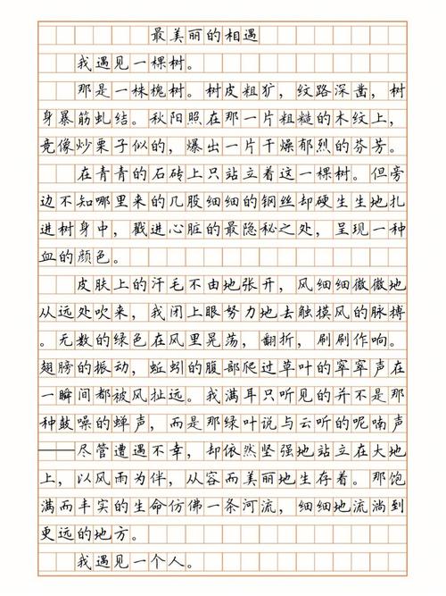 相遇在初中作文500字