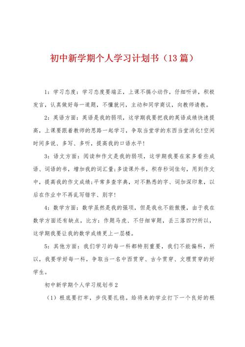 进入初中的打算800字