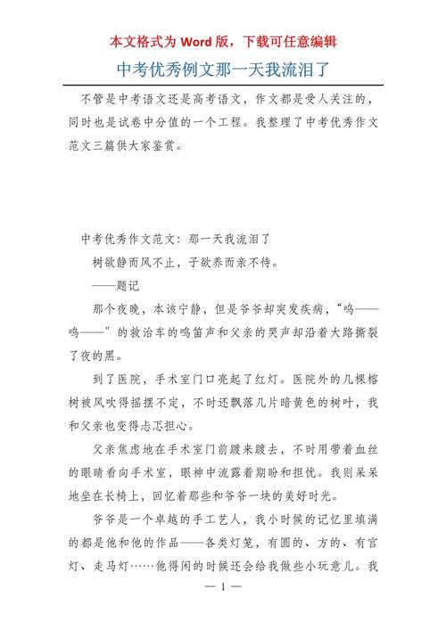 那天我哭了400字初中