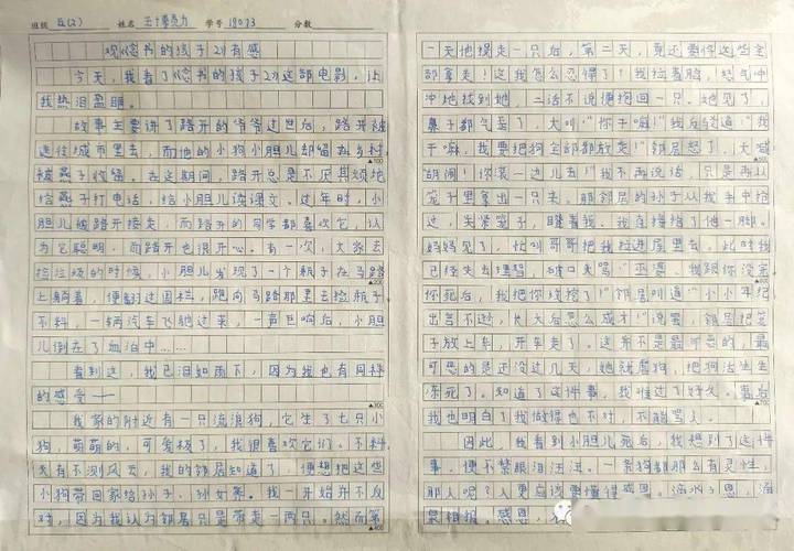 初中中国梦500字作文