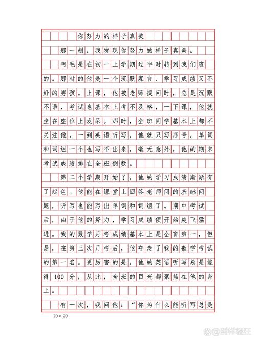 你的样子400作文初中