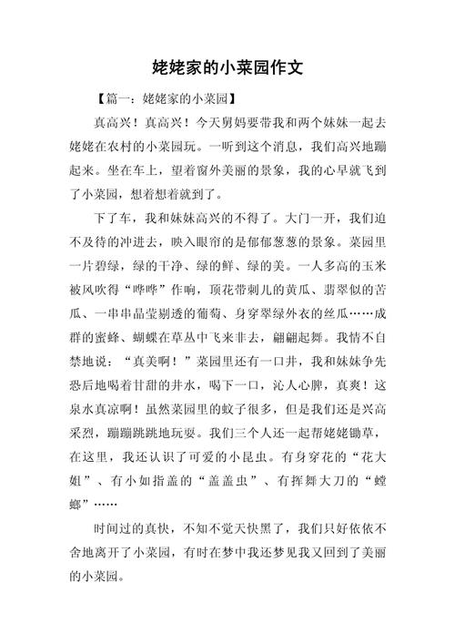 我家的菜园初中450字