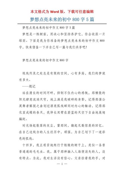 我憧憬的未来800初中