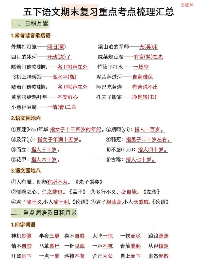 小学五年级语文怎么复习