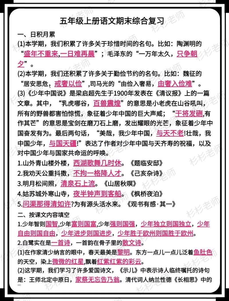 小学五年级语文怎么复习