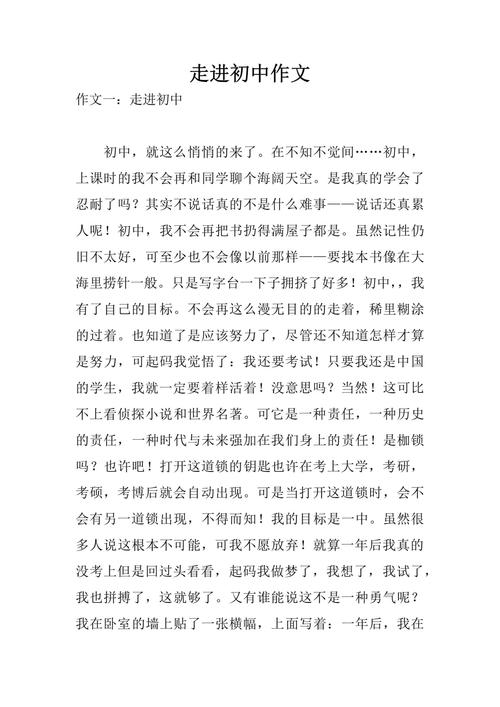 我步入初中作文800字