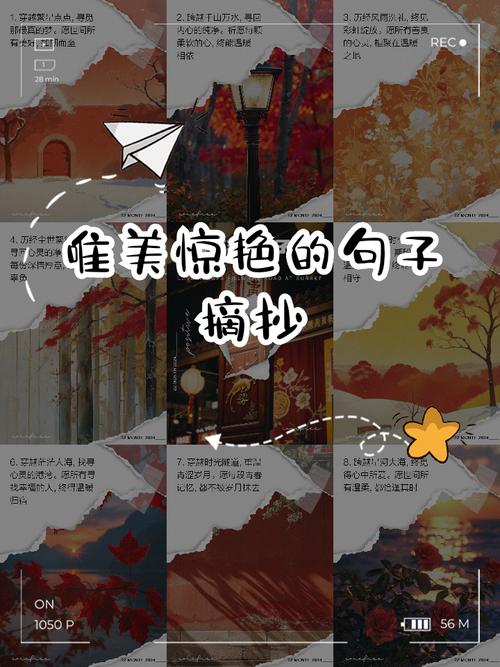 初中优美的句子摘抄大全