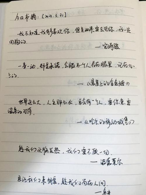 初中优美的句子摘抄大全