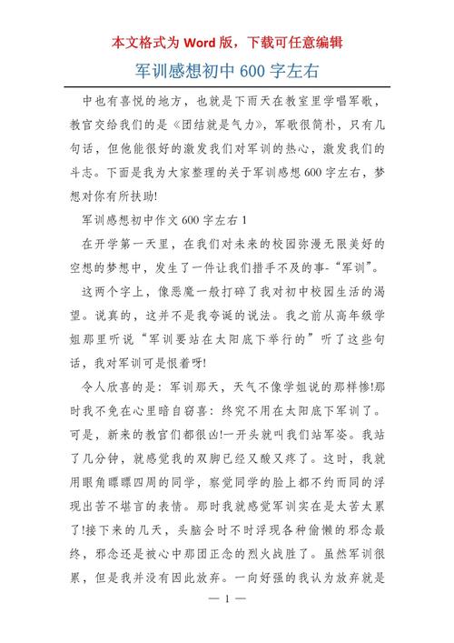 军训心得600字初中良