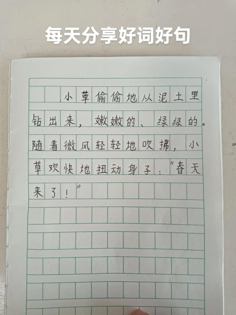 小练笔小草500字初中