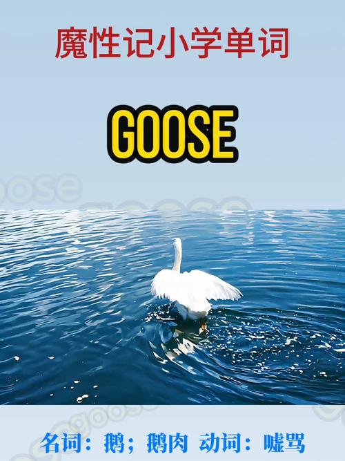 动物英文早教视频企鹅