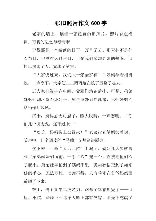 照片的作文600字初中