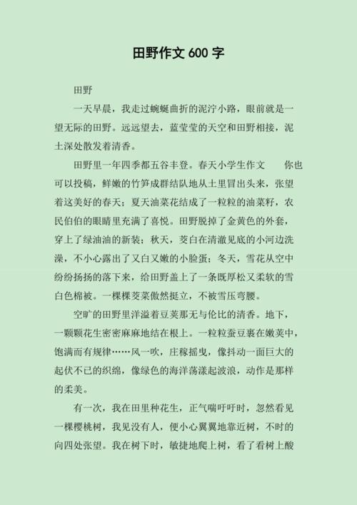 写田野的600作文初中