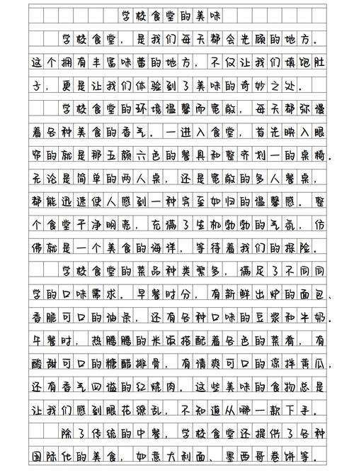 初中的午餐作文300字