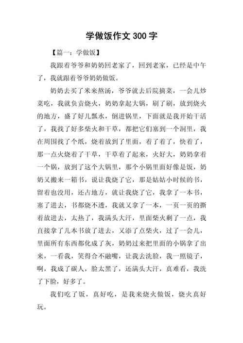 初中的午餐作文300字