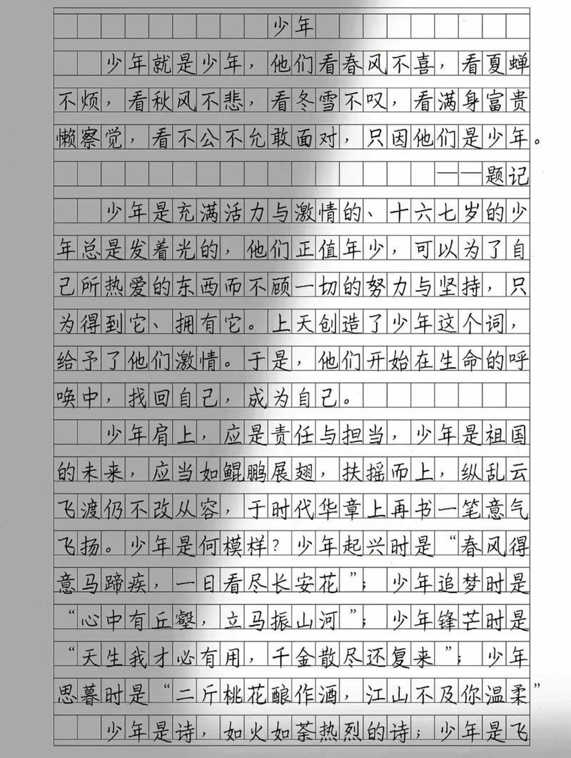 初中作文少年不知愁滋味