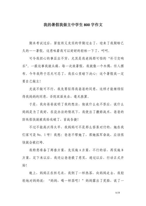 关于暑假的作文初中作文