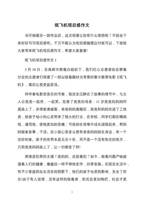 折飞机作文300字初中