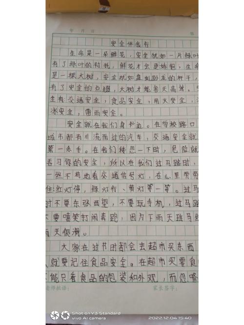 小学生安全作文400字