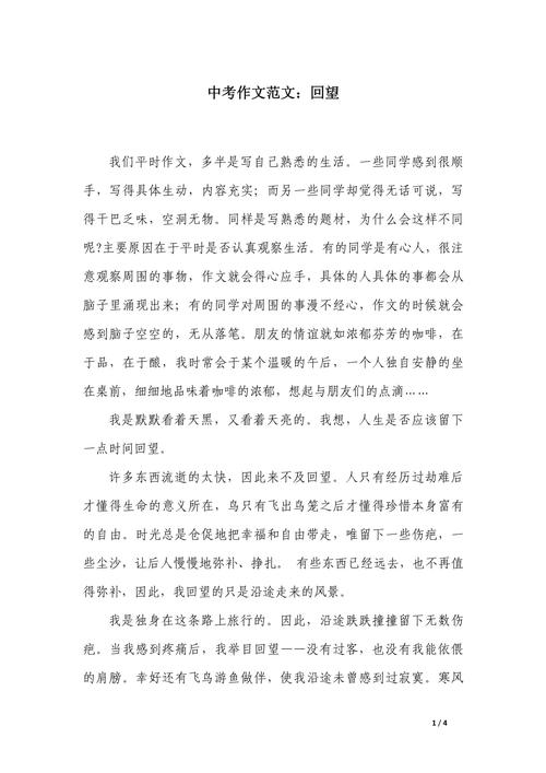 回望与展望作文初中作文