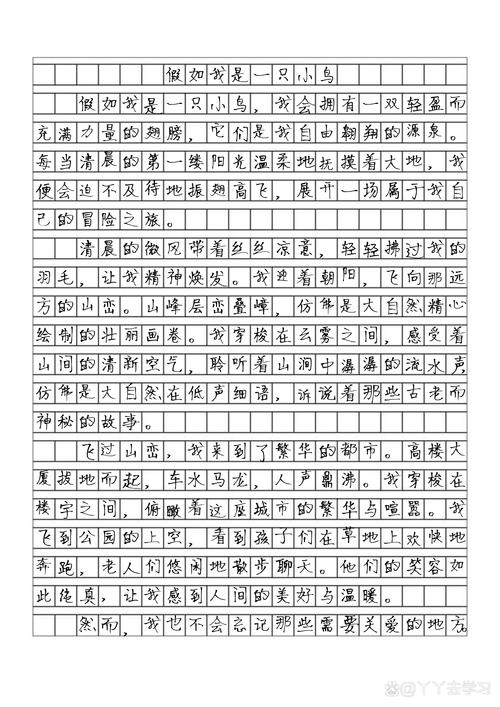 0遐想作文500字初中