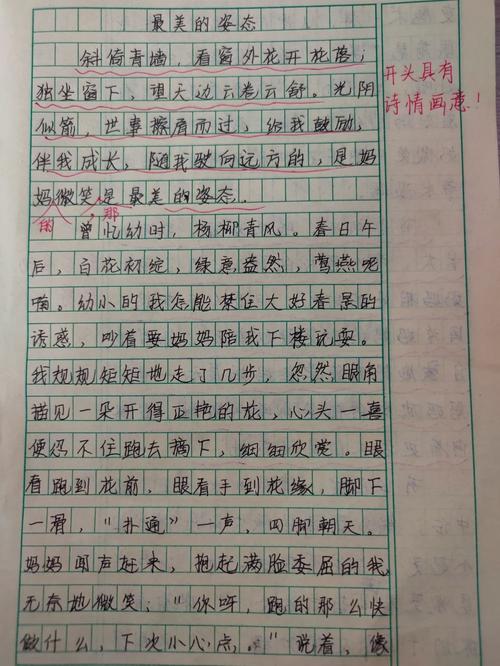 最美的姿态初中700字
