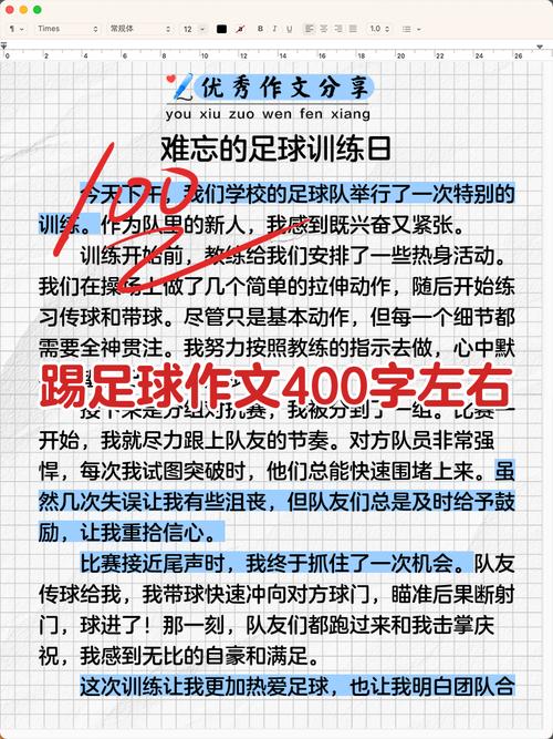 享受足球的乐趣作文初中