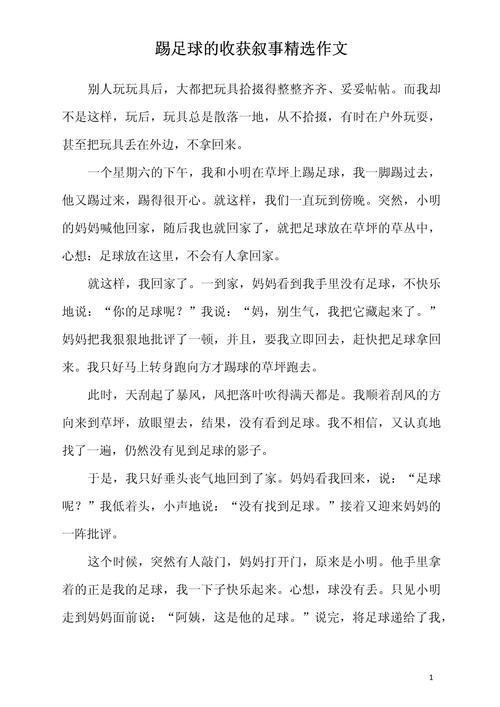 享受足球的乐趣作文初中