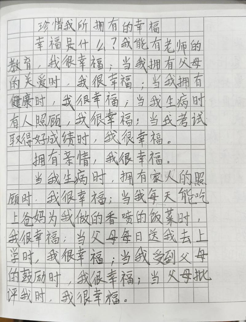 初中作文 我理解了幸福