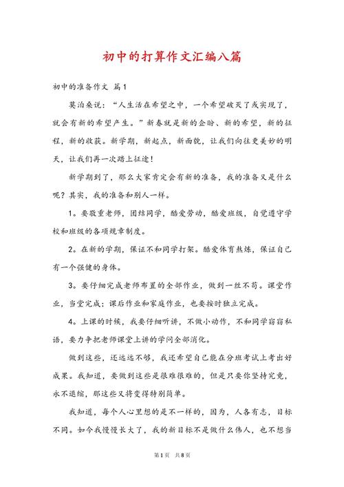 进入初中的打算200字