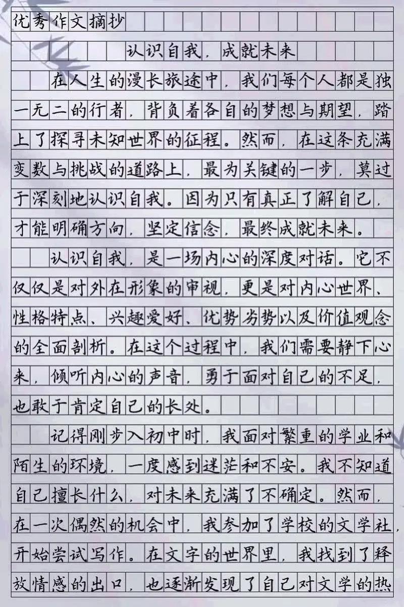 初中的认识作文800字