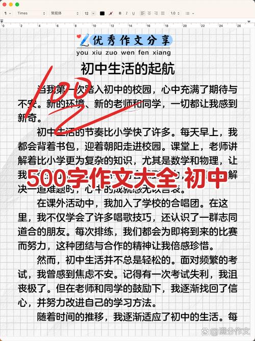 进入初中的感受500字