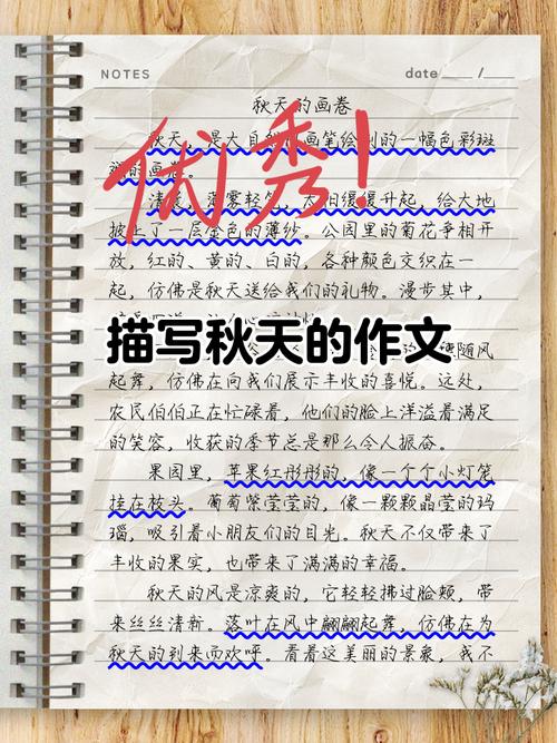 秋日小景作文400初中